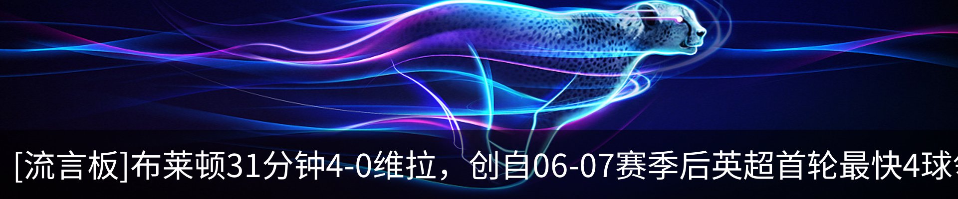 新闻动态